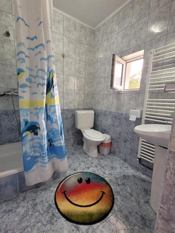 Vila Denisa Bran  Extérieur photo